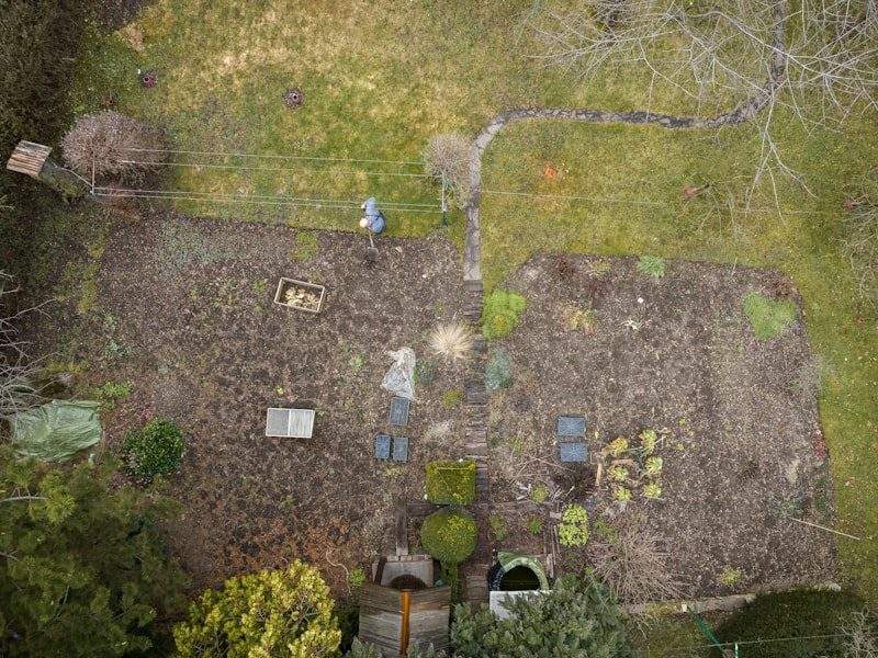 Yard full of debris before removal in Kingston, WA