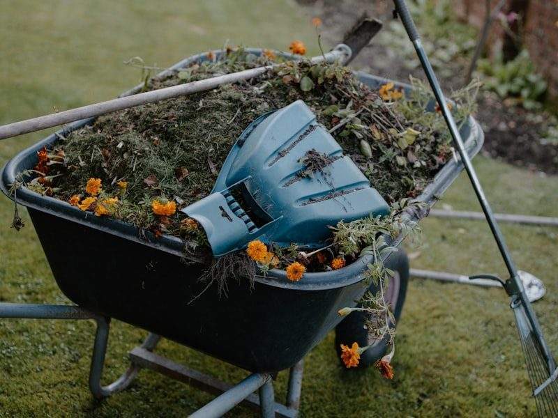 Yard waste removal in Kingston, WA